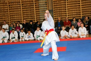 Tournoi-sankukai-onex2016-4