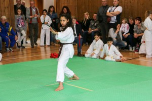 Tournoi-sankukai-onex2016-40