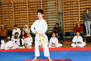 Tournoi-sankukai-onex2016-47
