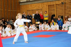 Tournoi-sankukai-onex2016-5