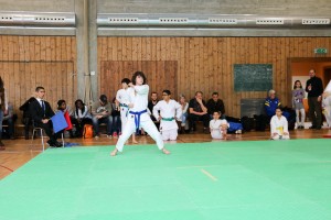 Tournoi-sankukai-onex2016-50