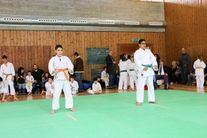 Tournoi-sankukai-onex2016-51