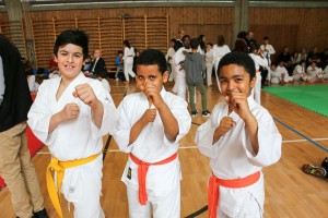 Tournoi-sankukai-onex2016-52