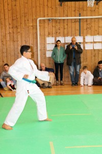 Tournoi-sankukai-onex2016-53