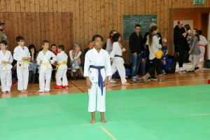 Tournoi-sankukai-onex2016-54
