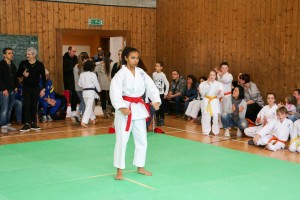 Tournoi-sankukai-onex2016-55