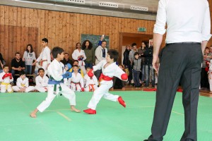 Tournoi-sankukai-onex2016-58