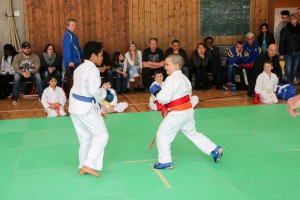 Tournoi-sankukai-onex2016-59