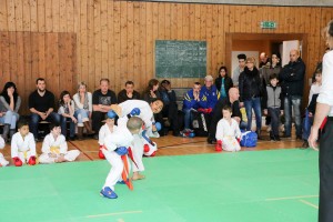 Tournoi-sankukai-onex2016-60