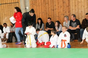 Tournoi-sankukai-onex2016-61