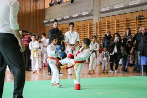Tournoi-sankukai-onex2016-62