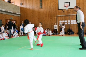 Tournoi-sankukai-onex2016-63