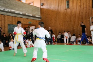 Tournoi-sankukai-onex2016-65