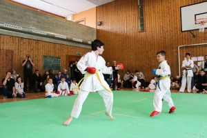 Tournoi-sankukai-onex2016-66
