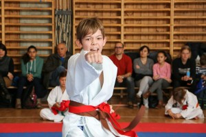 Tournoi-sankukai-onex2016-67