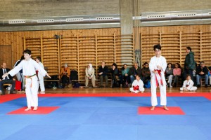 Tournoi-sankukai-onex2016-69
