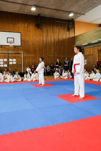 Tournoi-sankukai-onex2016-7