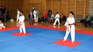 Tournoi-sankukai-onex2016-71