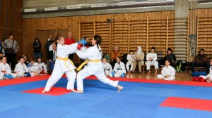 Tournoi-sankukai-onex2016-72
