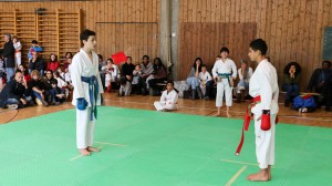 Tournoi-sankukai-onex2016-73