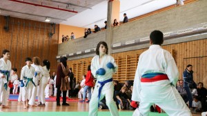 Tournoi-sankukai-onex2016-74