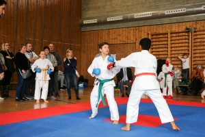 Tournoi-sankukai-onex2016-75