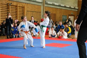 Tournoi-sankukai-onex2016-76