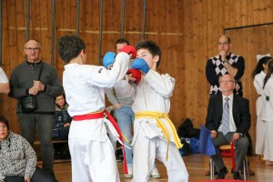 Tournoi-sankukai-onex2016-77