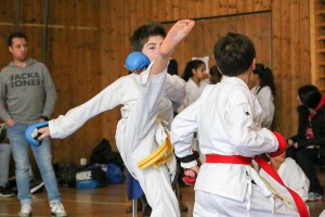 Tournoi-sankukai-onex2016-78