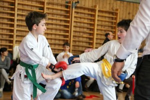 Tournoi-sankukai-onex2016-79