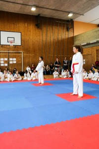 Tournoi-sankukai-onex2016-8