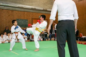 Tournoi-sankukai-onex2016-82