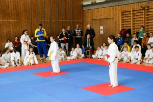 Tournoi-sankukai-onex2016-9